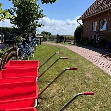 Netti Im Haus Balteringe, 발트룸